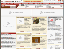 Tablet Screenshot of internettudakozo.hu